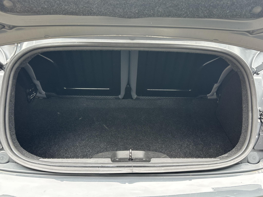 Fiat 500C (SN350J) met abonnement