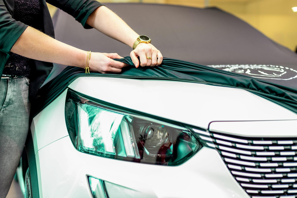 Peugeot 2008 (GKG86X) met abonnement