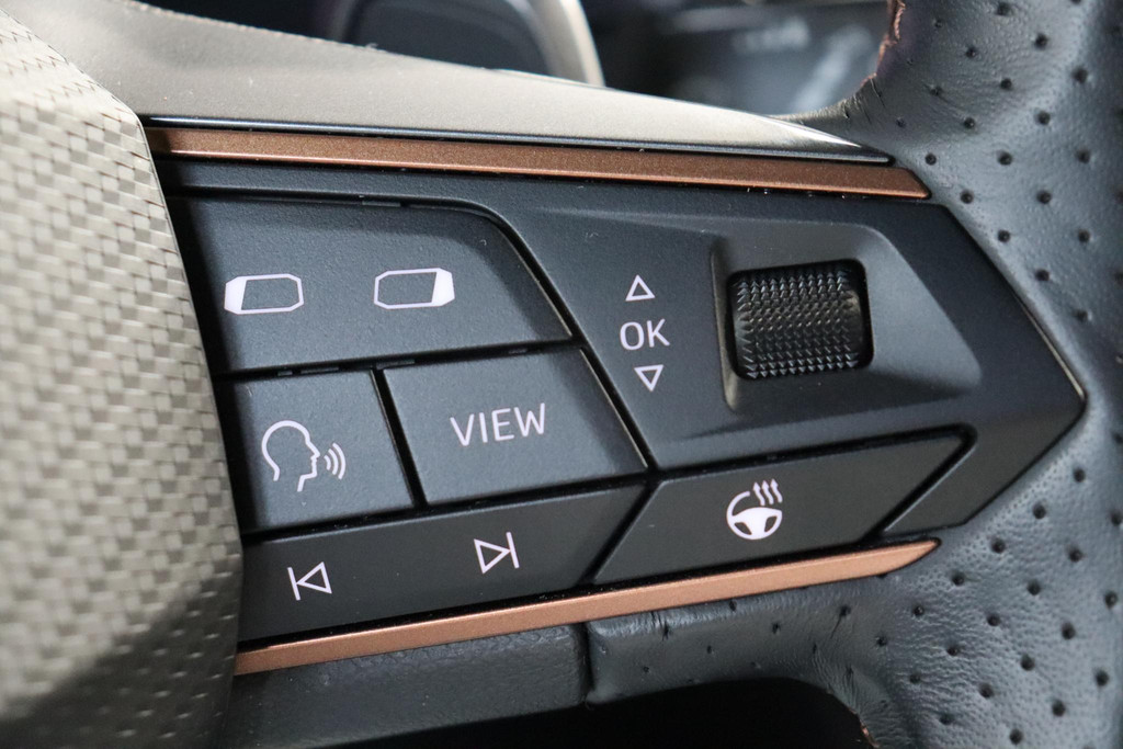 CUPRA Leon (JDG88N) met abonnement