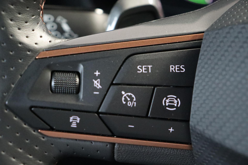 CUPRA Leon (JDG88N) met abonnement