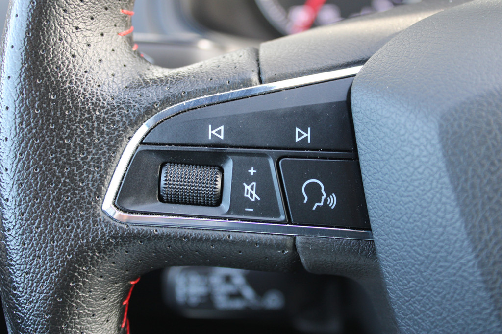 Seat Ibiza (L916NX) met abonnement