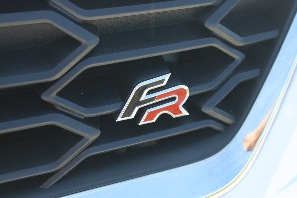 Seat Ibiza (L916NX) met abonnement