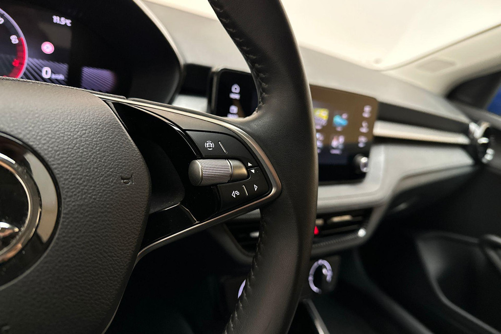 ŠKODA Fabia (GBH65N) met abonnement