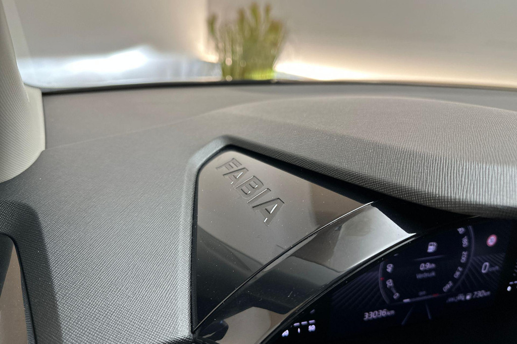 ŠKODA Fabia (GBH65N) met abonnement