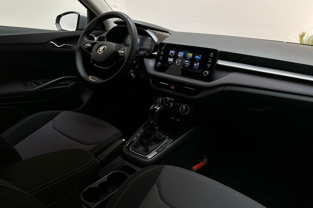 ŠKODA Fabia (GGG32P) met abonnement