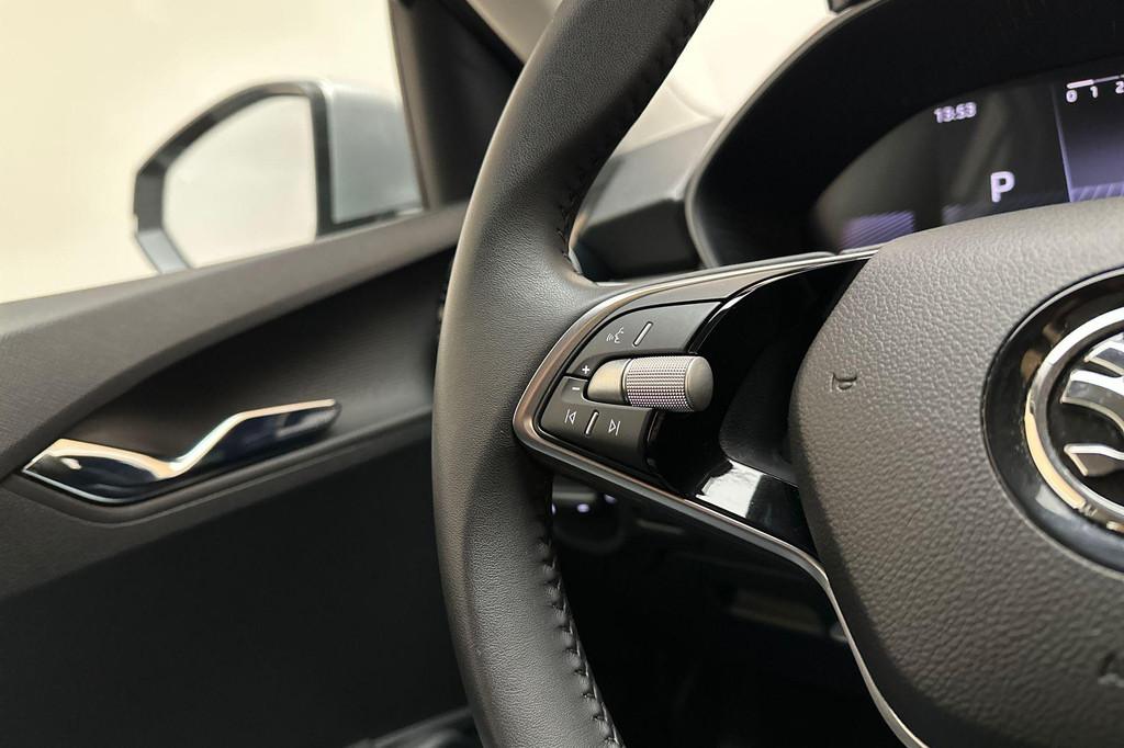 ŠKODA Fabia (GGG32P) met abonnement