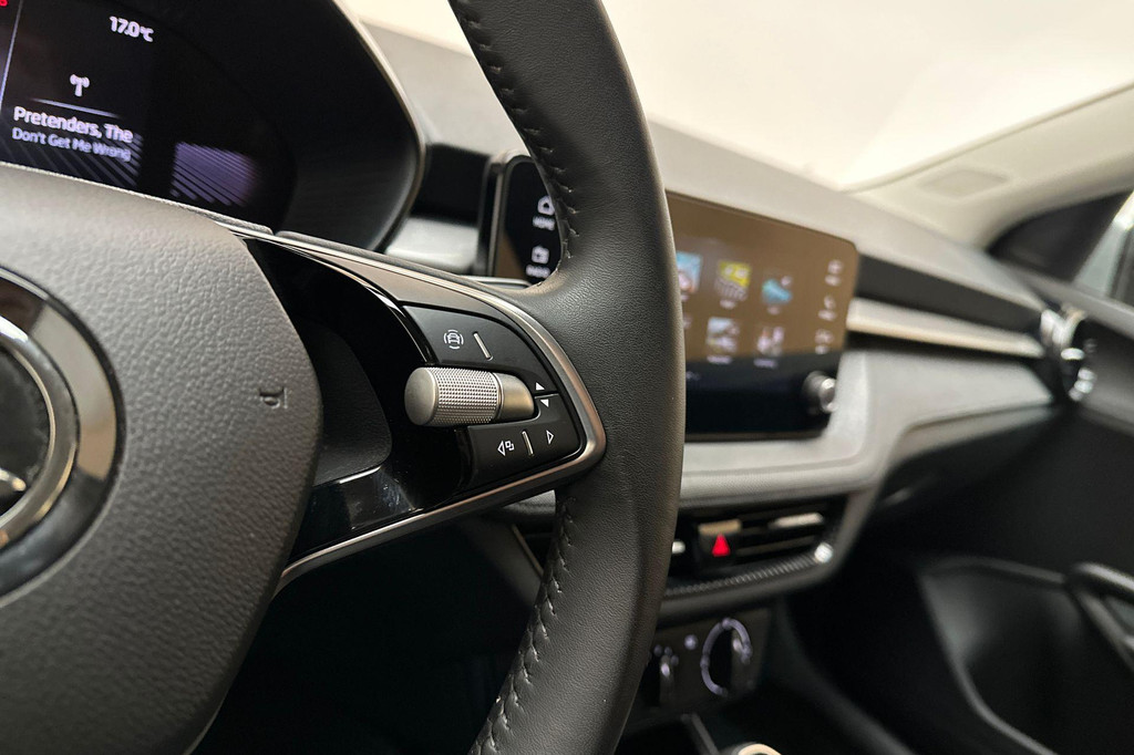 ŠKODA Fabia (GGG32P) met abonnement