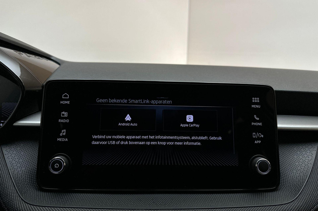 ŠKODA Fabia (GGG32P) met abonnement