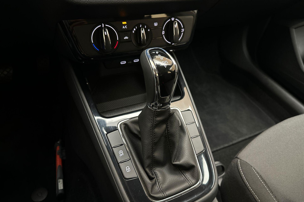 ŠKODA Fabia (GGG32P) met abonnement