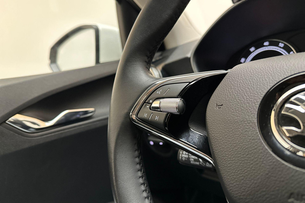 ŠKODA Fabia (T725RK) met abonnement