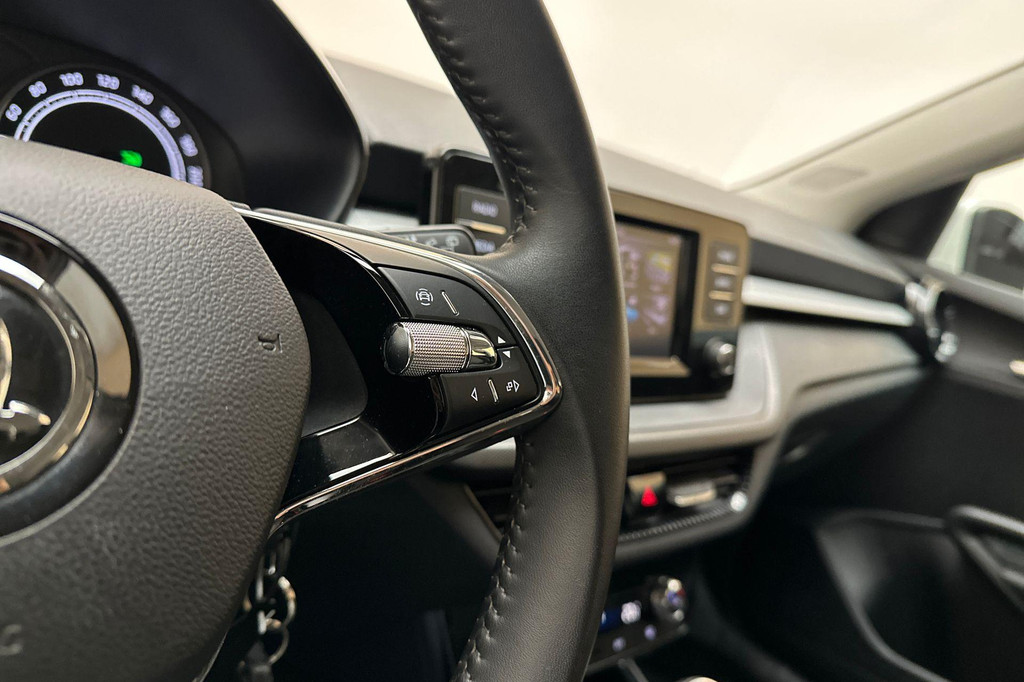 ŠKODA Fabia (T725RK) met abonnement