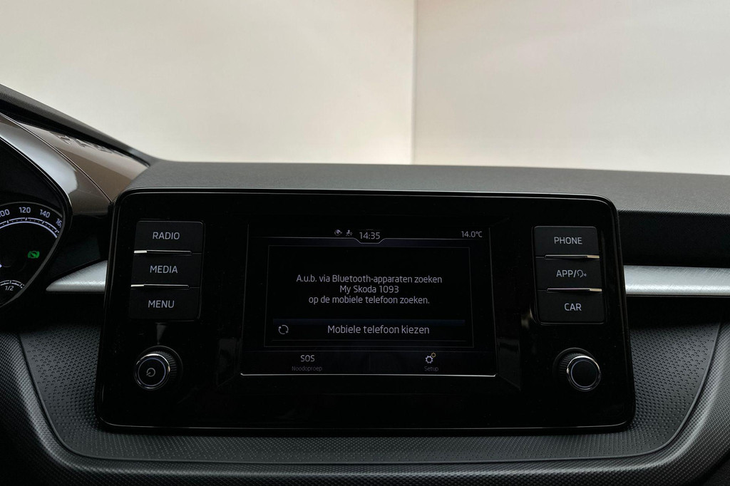 ŠKODA Fabia (T725RK) met abonnement