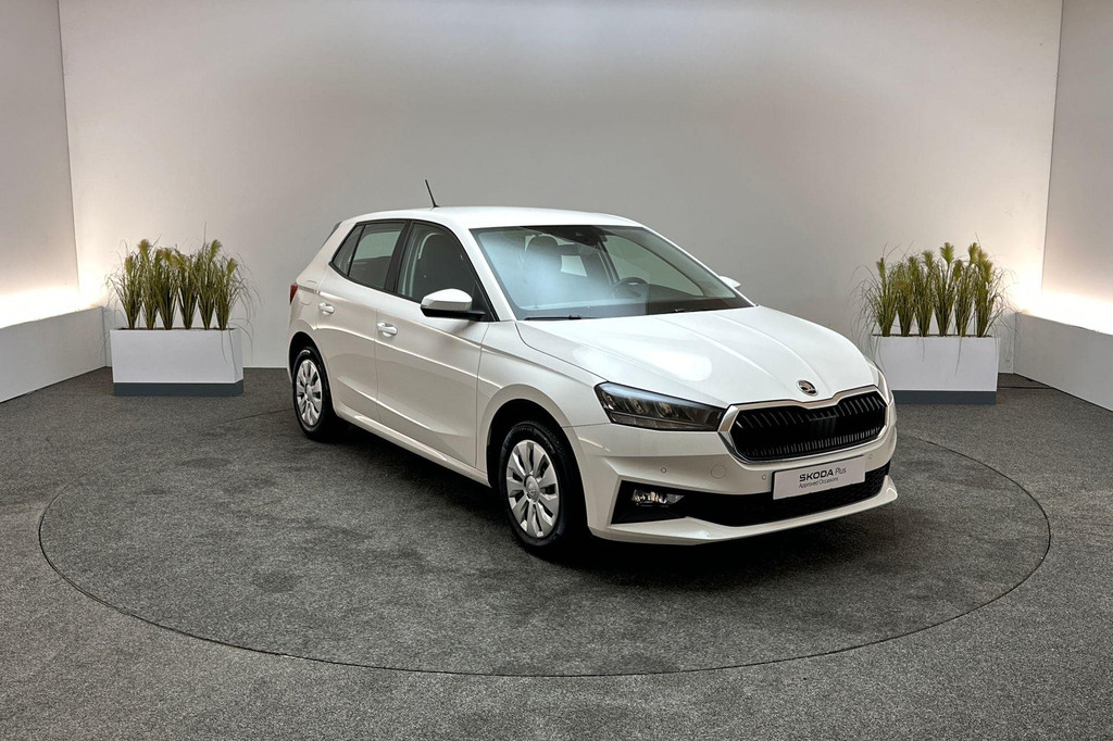 ŠKODA Fabia (T725RK) met abonnement