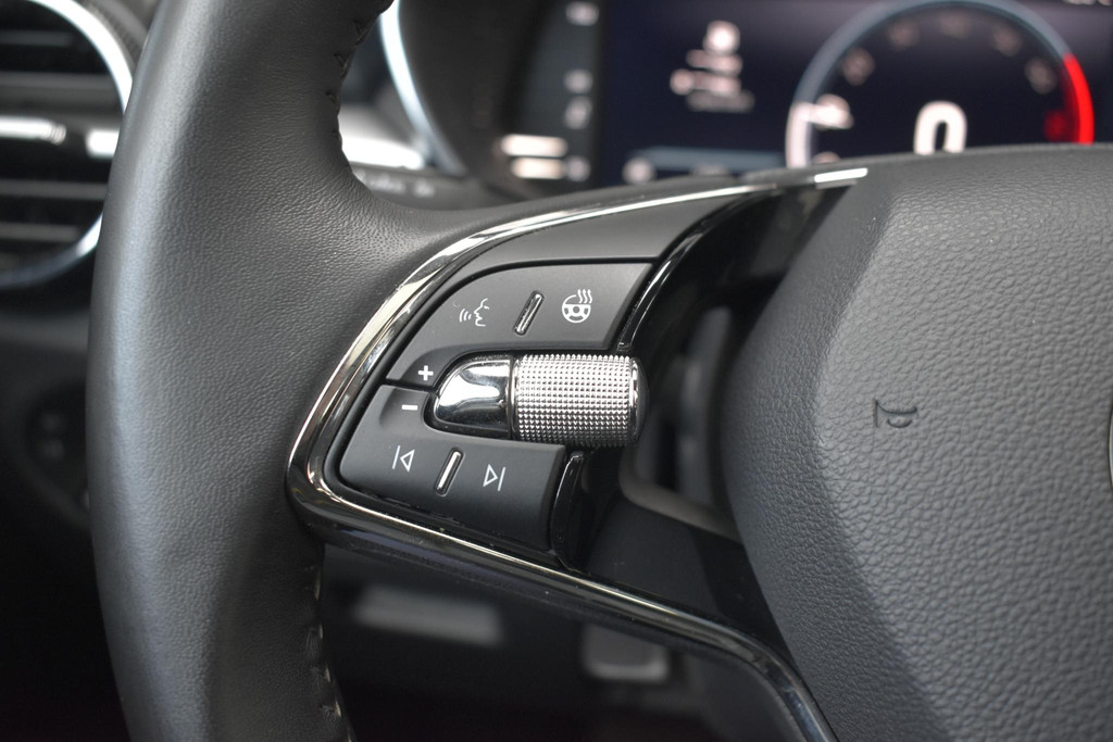 ŠKODA Fabia (R549HD) met abonnement