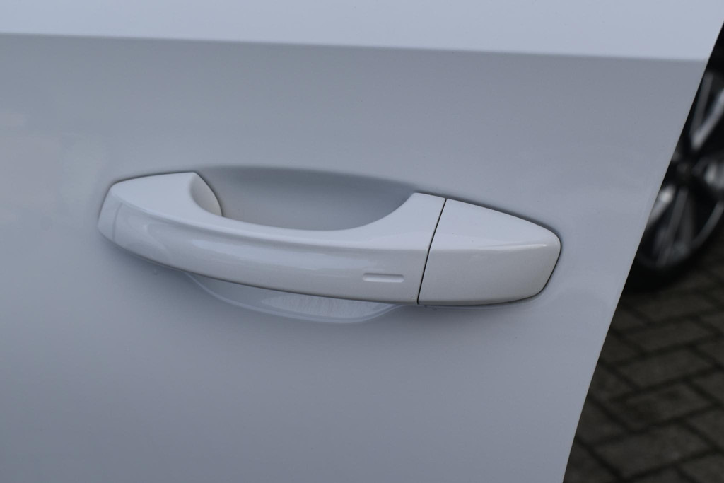 ŠKODA Fabia (R549HD) met abonnement