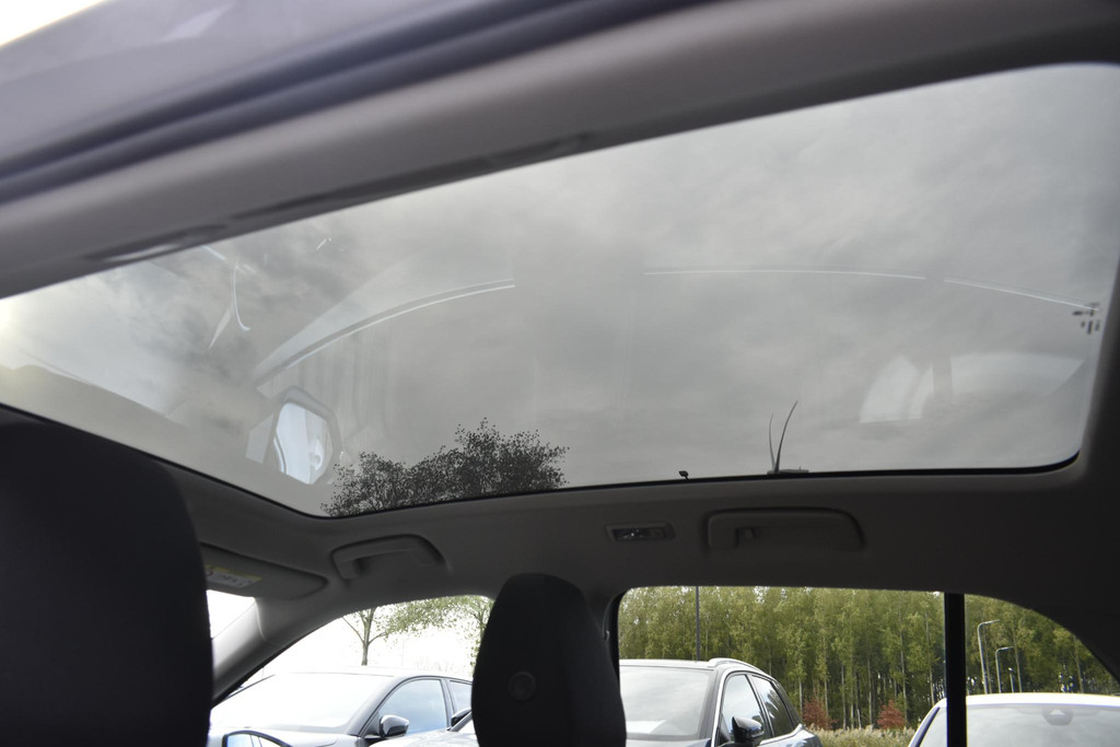 ŠKODA Fabia (R549HD) met abonnement