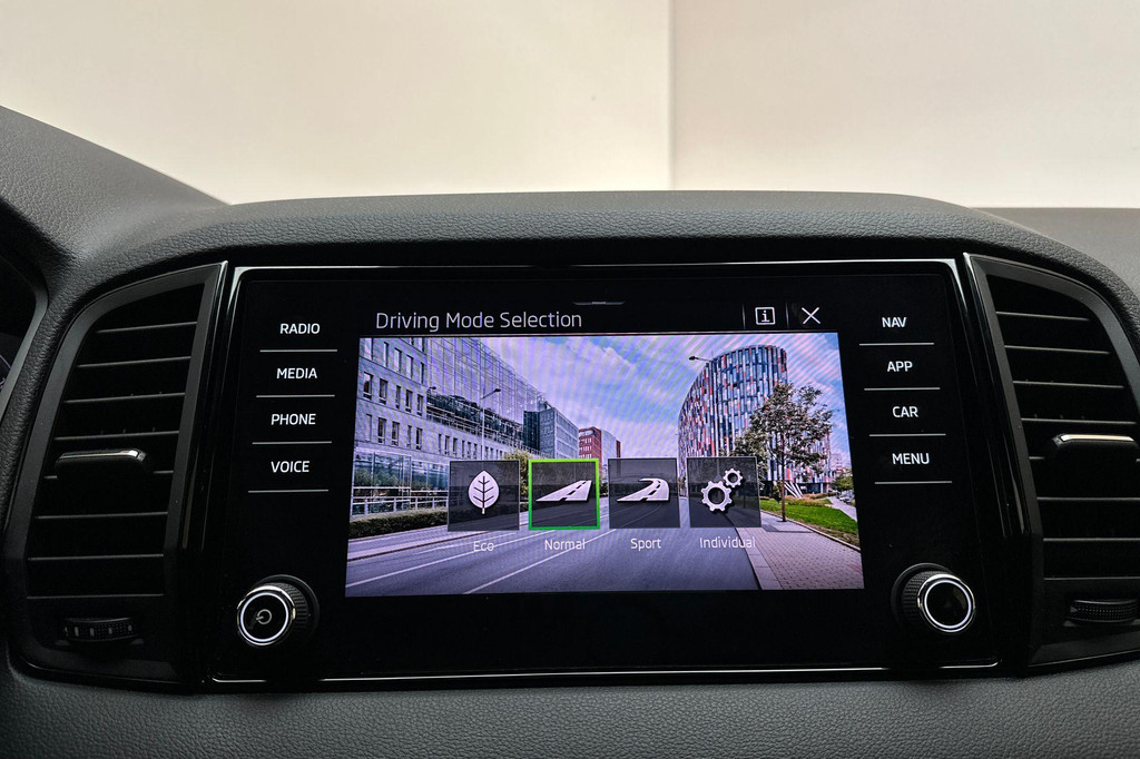 ŠKODA Karoq (JJJ10D) met abonnement