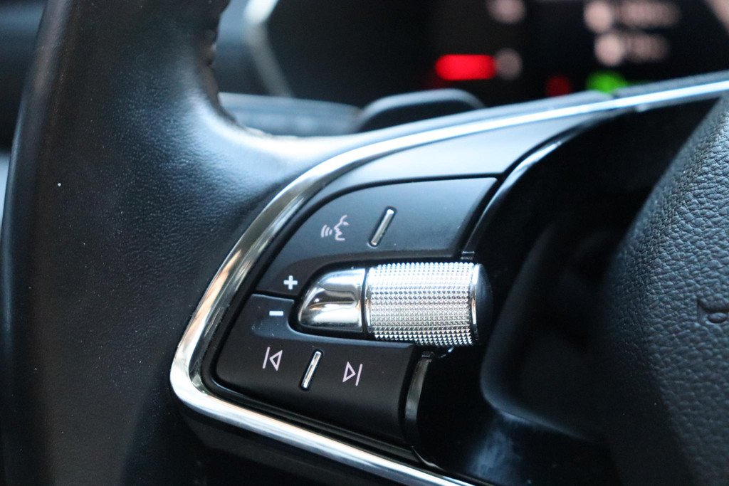 ŠKODA Octavia (N666DD) met abonnement