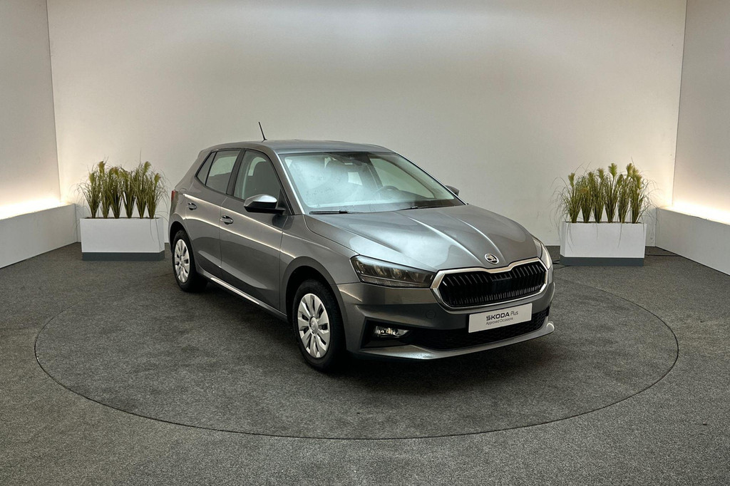 ŠKODA Fabia (GBH62N) met abonnement