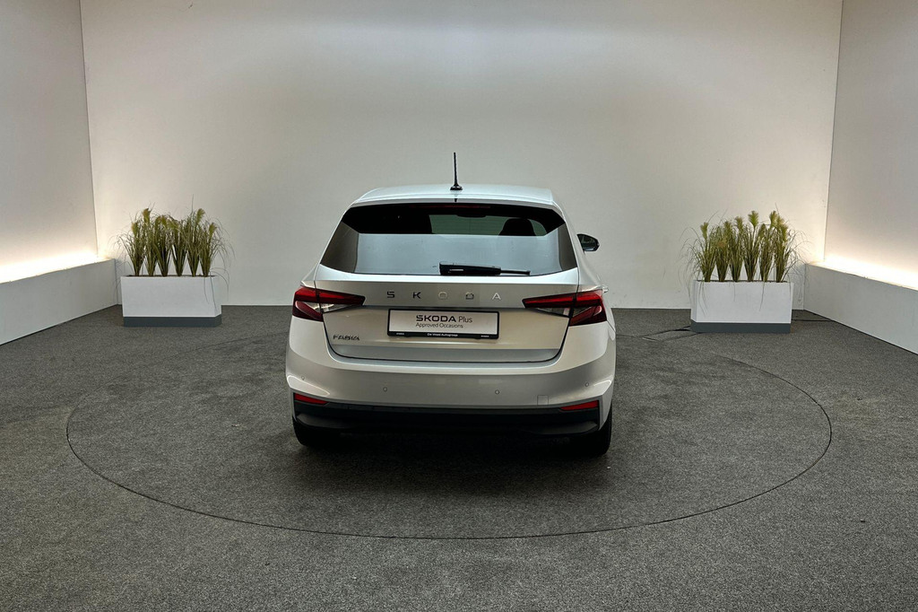 ŠKODA Fabia (GZX86K) met abonnement