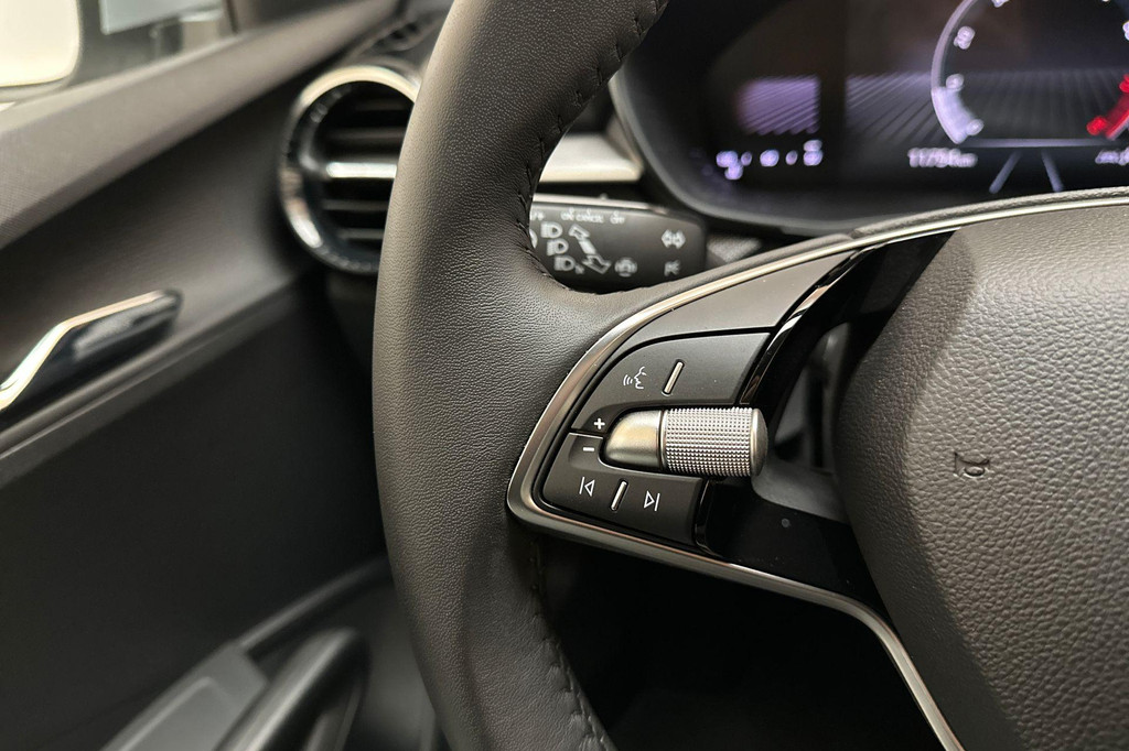 ŠKODA Fabia (GZX86K) met abonnement