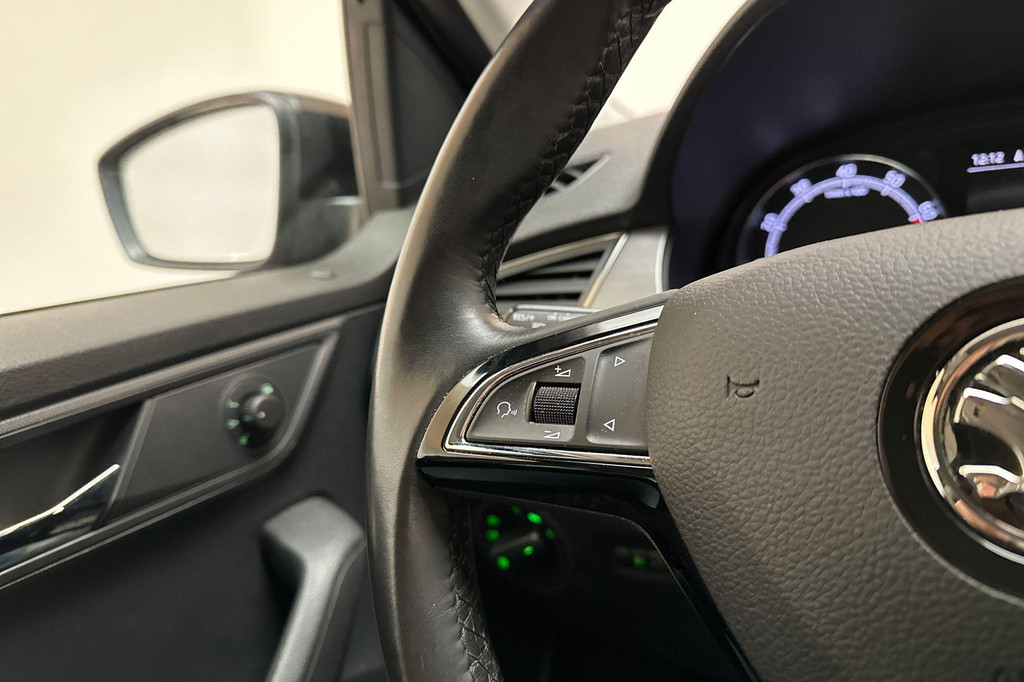 ŠKODA Fabia (G817GZ) met abonnement