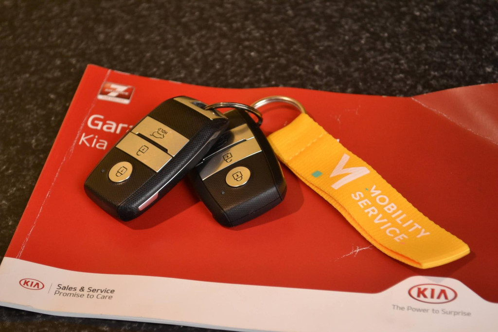 Kia e-Niro (J517LV) met abonnement