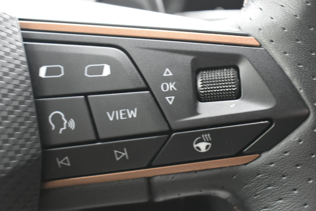 CUPRA Formentor (JLH80X) met abonnement