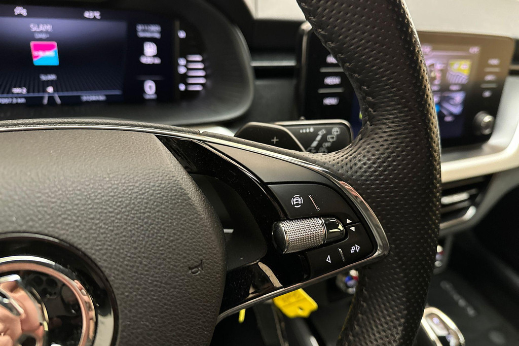 ŠKODA Kamiq (P246KJ) met abonnement