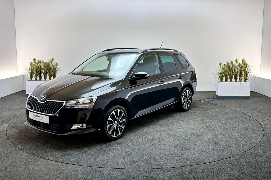 ŠKODA Fabia (J688RF) met abonnement