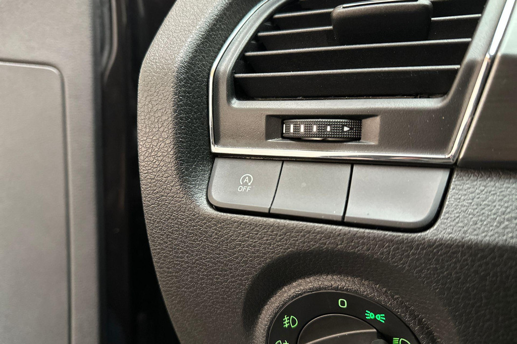 ŠKODA Fabia (J688RF) met abonnement