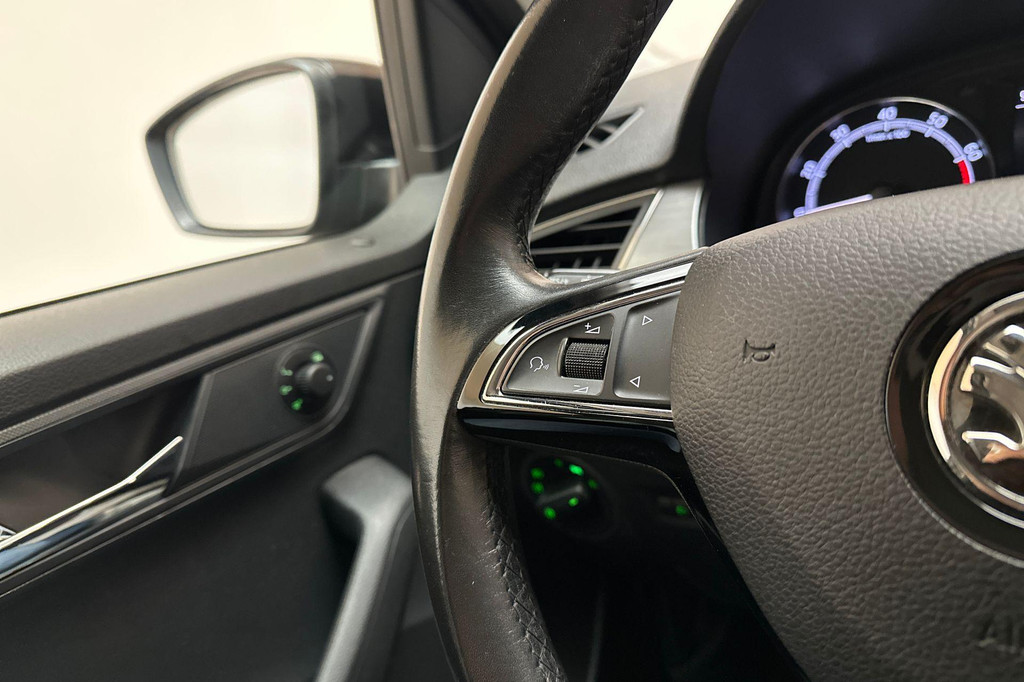 ŠKODA Fabia (J688RF) met abonnement