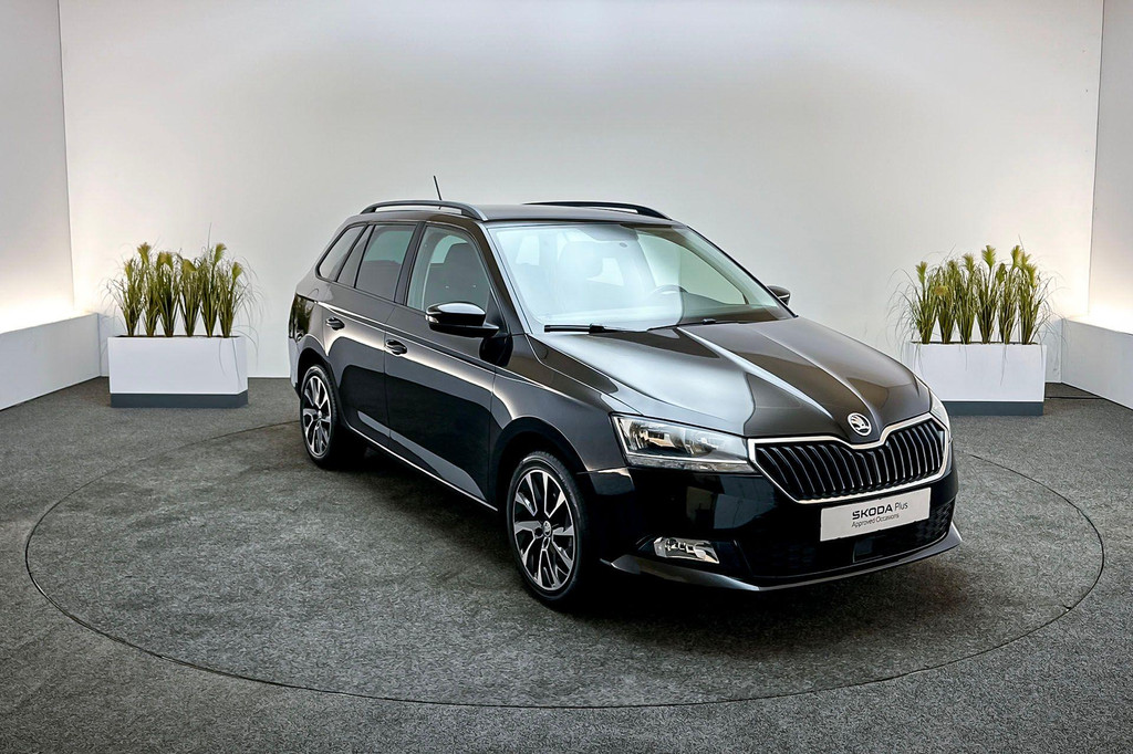 ŠKODA Fabia (J688RF) met abonnement