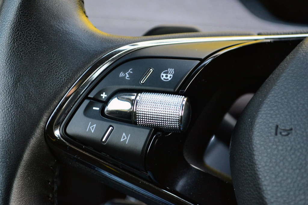 ŠKODA ENYAQ iV (L245NP) met abonnement