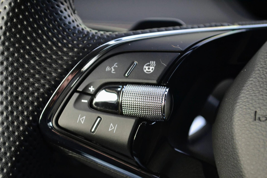 ŠKODA ENYAQ iV (L248NP) met abonnement