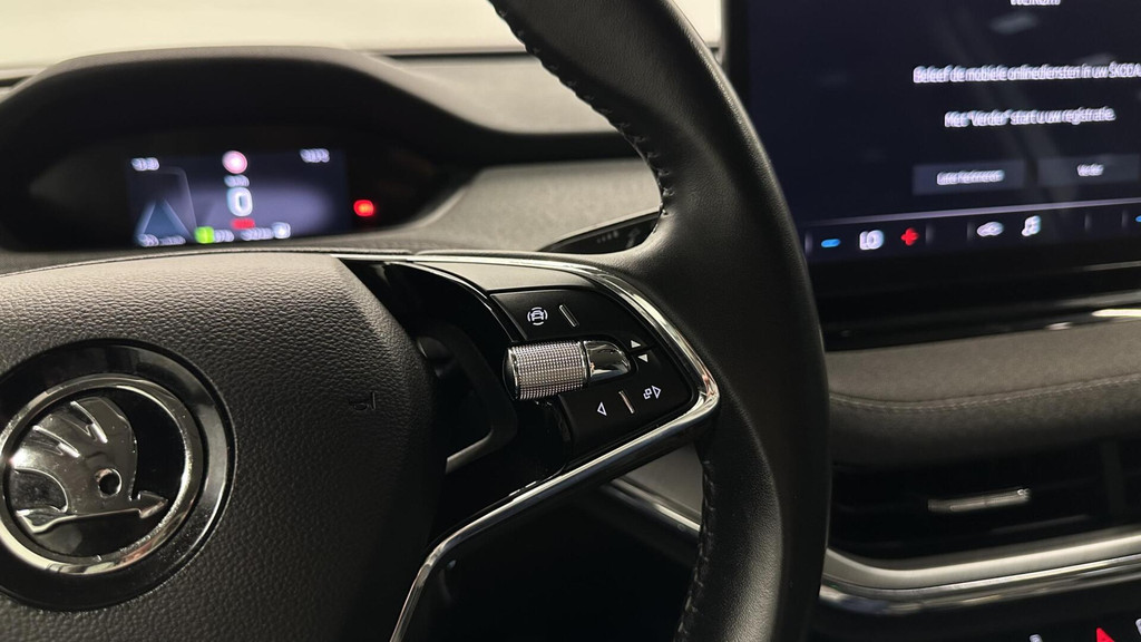 ŠKODA ENYAQ iV (N696SN) met abonnement