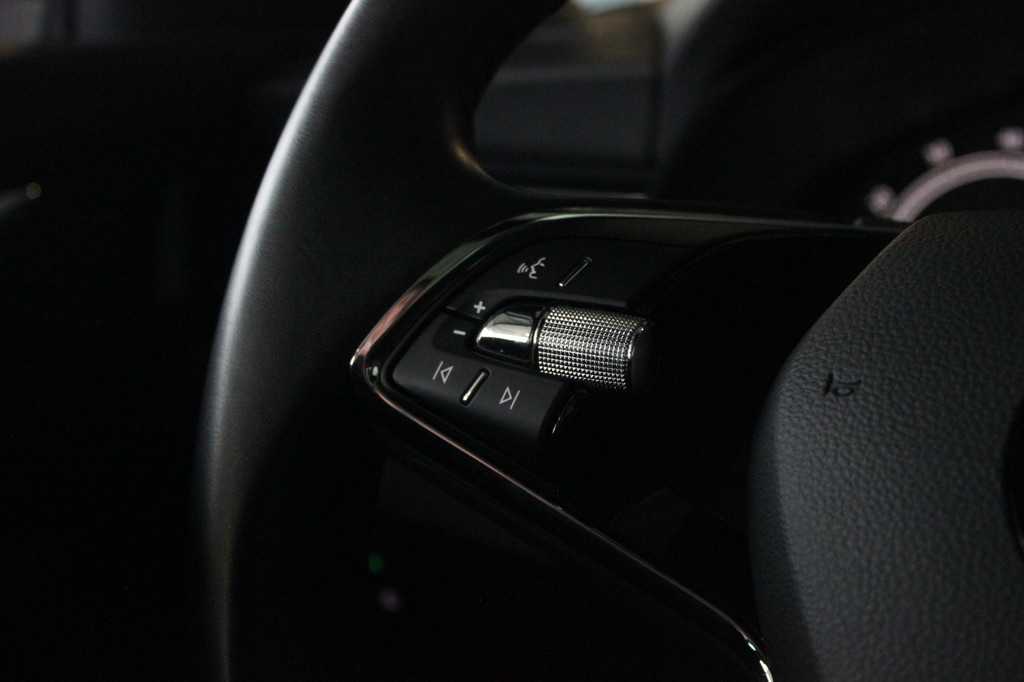 ŠKODA Scala (T080RH) met abonnement