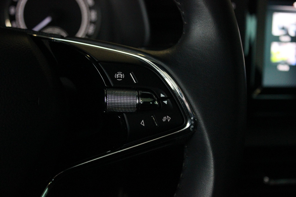 ŠKODA Scala (T080RH) met abonnement