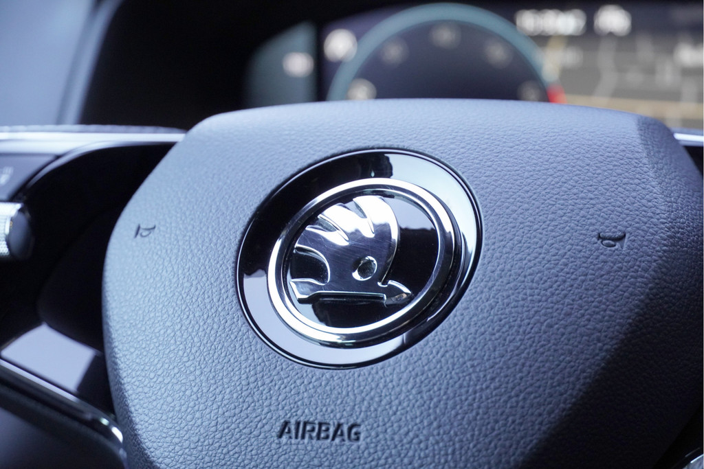 ŠKODA Karoq (N601LP) met abonnement