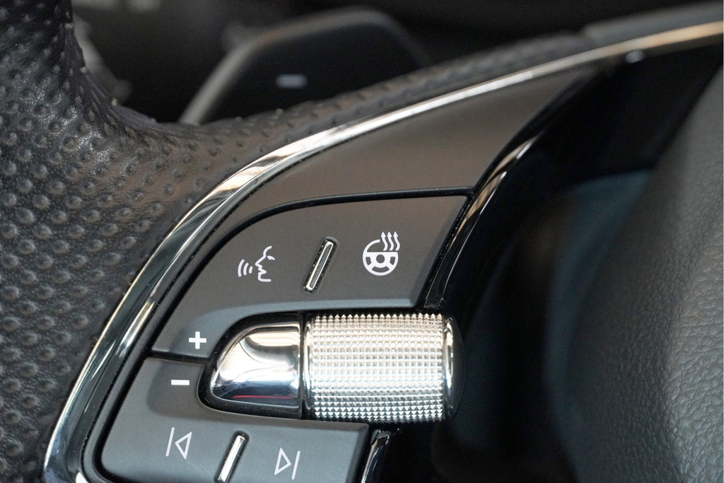 ŠKODA Karoq (N601LP) met abonnement