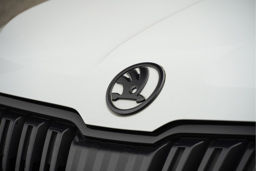 ŠKODA Karoq (N601LP) met abonnement