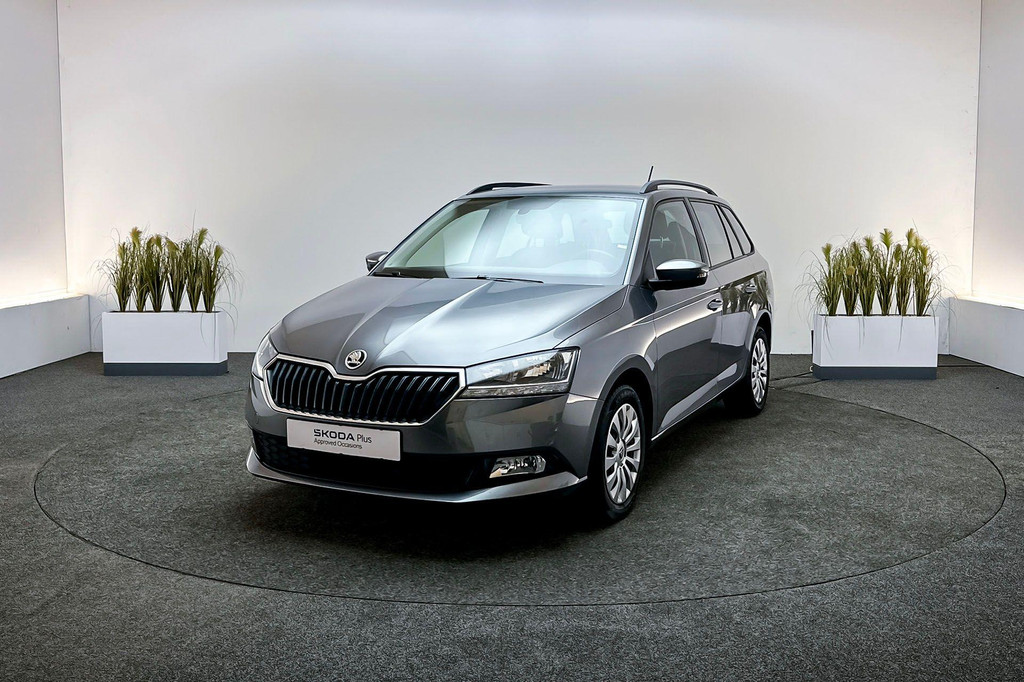 ŠKODA Fabia (P788RR) met abonnement