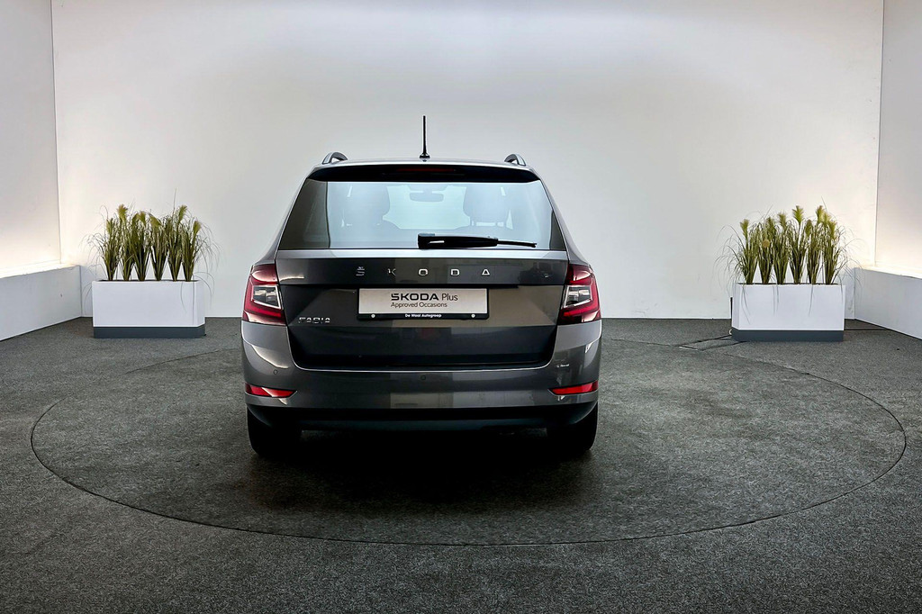 ŠKODA Fabia (P788RR) met abonnement