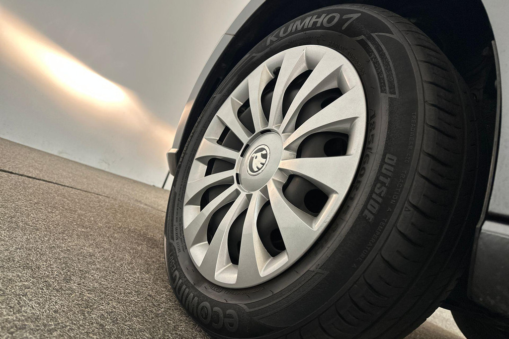 ŠKODA Fabia (P788RR) met abonnement