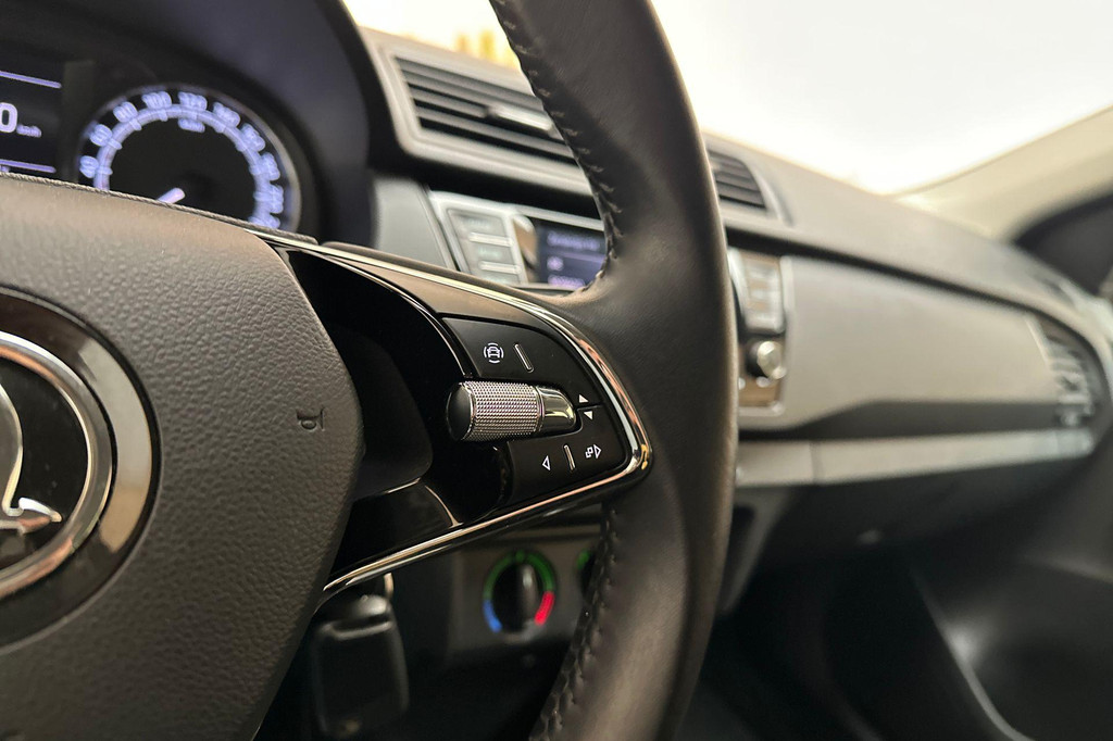 ŠKODA Fabia (P788RR) met abonnement