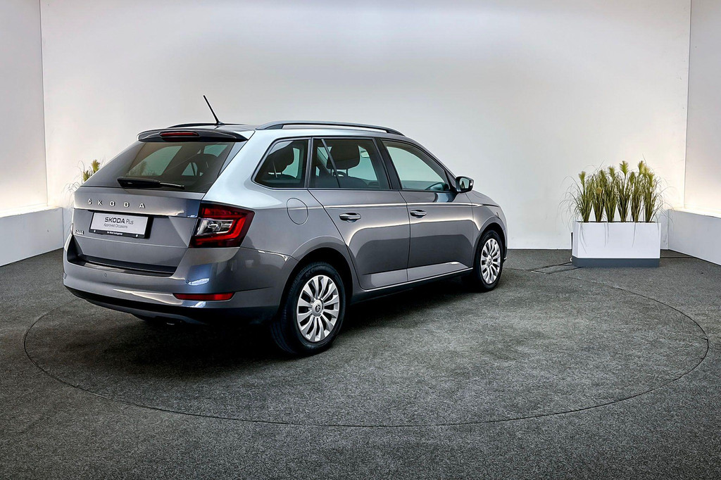 ŠKODA Fabia (P788RR) met abonnement