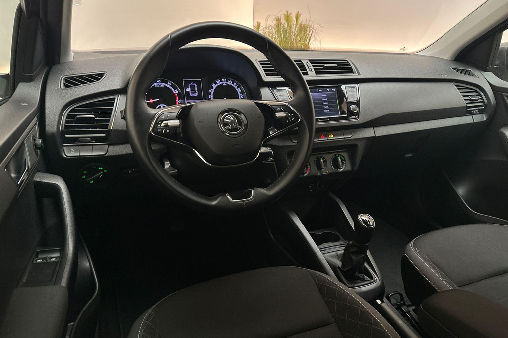 ŠKODA Fabia (P788RR) met abonnement