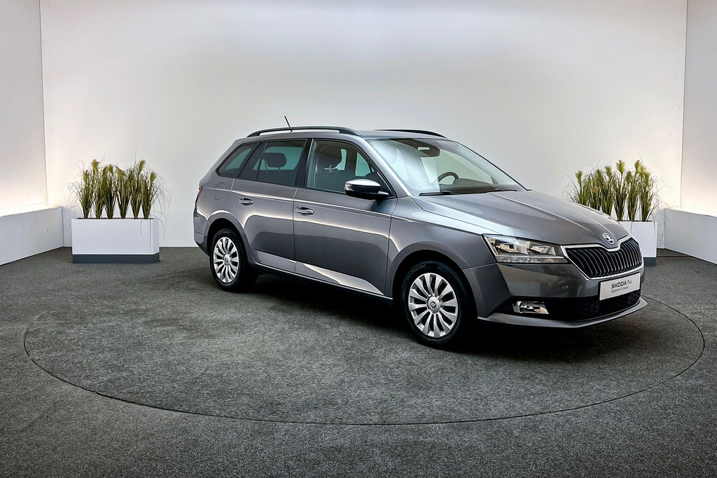 ŠKODA Fabia (P788RR) met abonnement