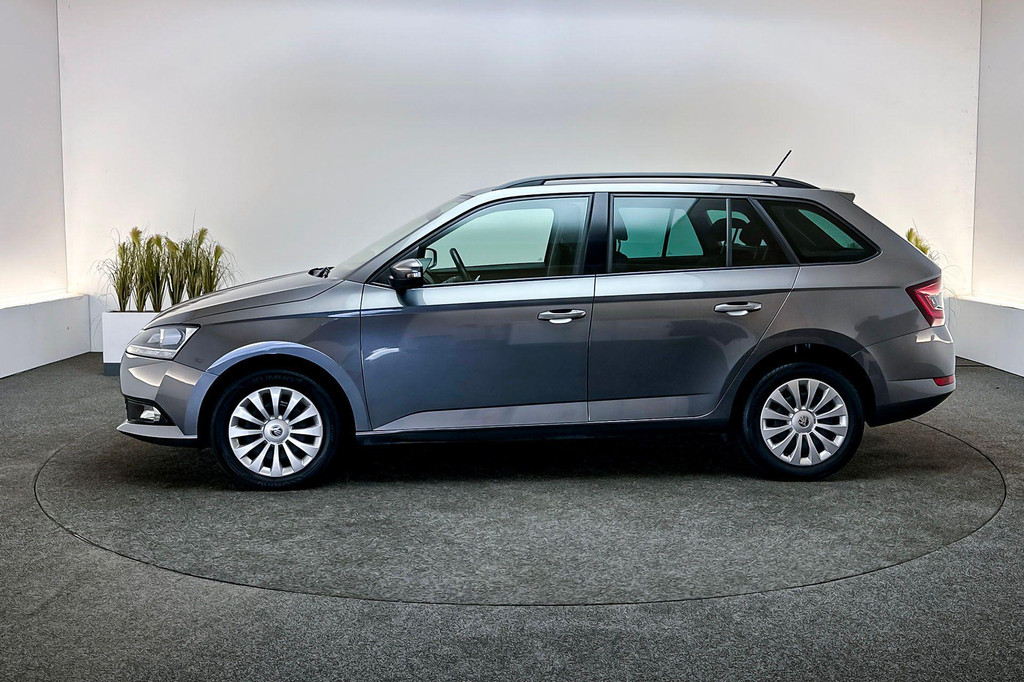 ŠKODA Fabia (P788RR) met abonnement