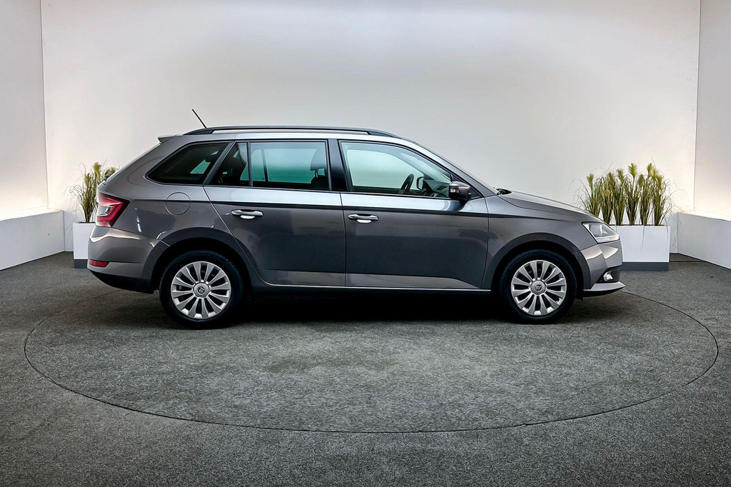 ŠKODA Fabia (P788RR) met abonnement